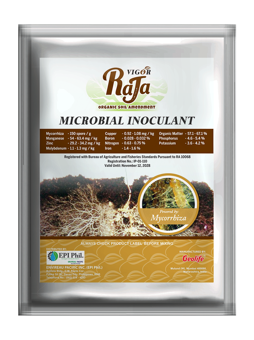 is a unique microbial inoculant that contains high Mycorrhiza spp., organic matter and micronutrients in powder form that guarantee plant growth and high crop yield.